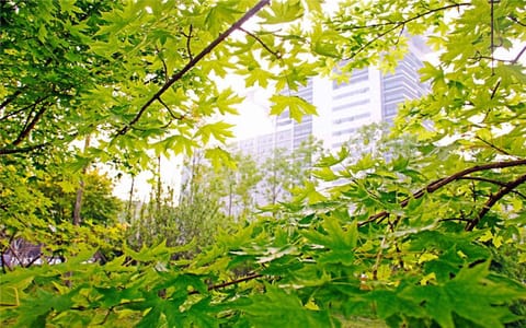 中国石油大学(华东)·校园风光1