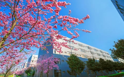 云南工商学院·校园风光