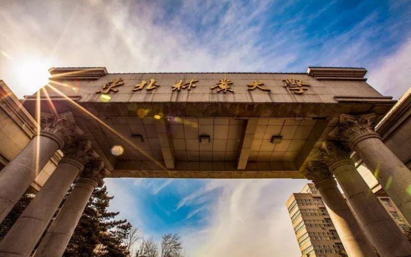 东北林业大学主图·校门