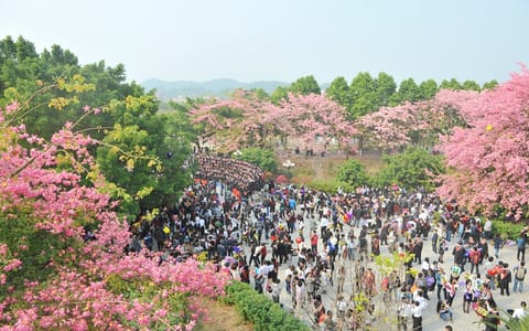 广州软件学院·毕业季校园内景