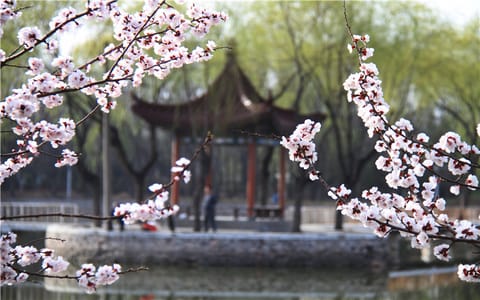 宁夏大学·校园风光