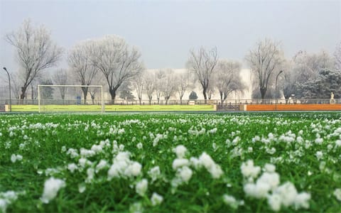 中国劳动关系学院·校园风光