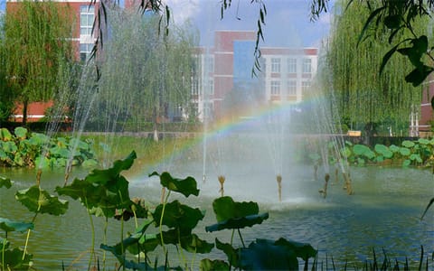 四川工业科技学院·荷花池上的彩虹