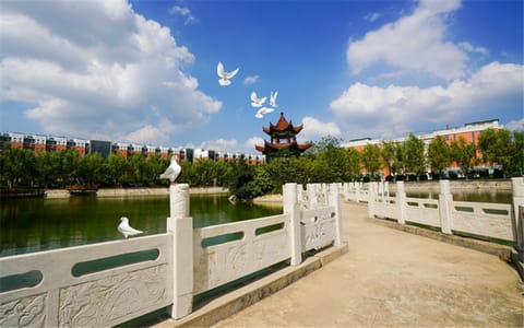 商丘工学院·放飞梦想