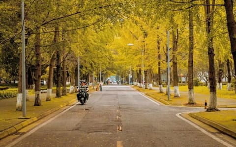 四川大学·校园风光