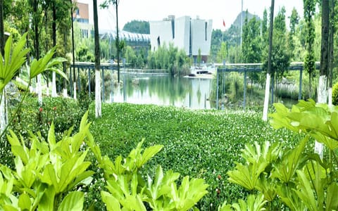 安顺学院·校园景色3