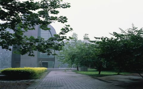 中央美术学院·小径