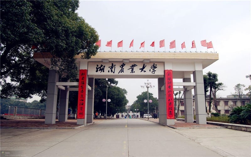 湖南农业大学主图·校门