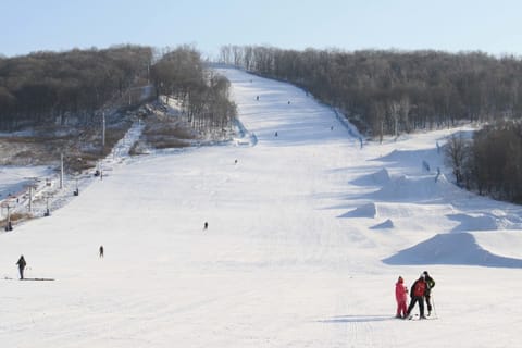 哈尔滨体育学院·哈体冠军滑雪场