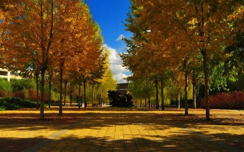 沈阳建筑大学·秋