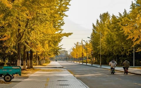 宿迁学院·校园风光
