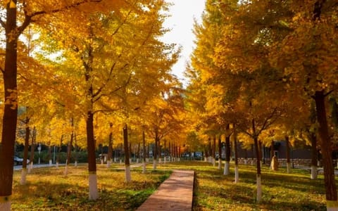 北京石油化工学院·校园风光