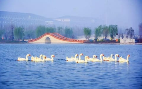 洛阳师范学院·校园风光