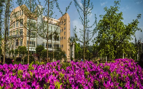乐山师范学院·沫若图书馆