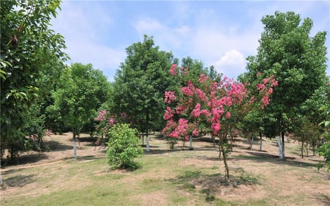 湖南工学院·校园花草