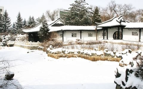东北电力大学·校园雪景