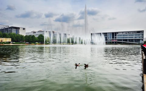 天津财经大学·校园风光5