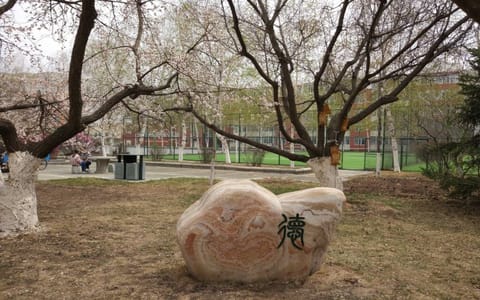 长春工业大学人文信息学院·校园景观2