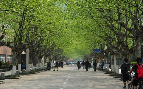 四川农业大学·雅安校本部4