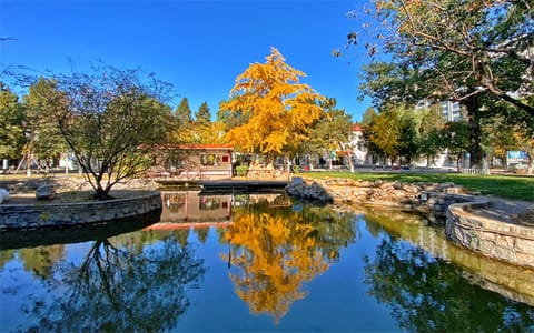 中国劳动关系学院·校园风光