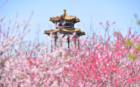 天津中医药大学·校园景色