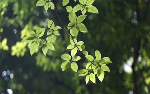 南方医科大学·校园风光