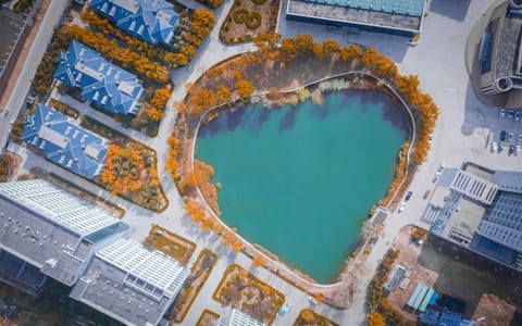 青岛城市学院·校园风景4