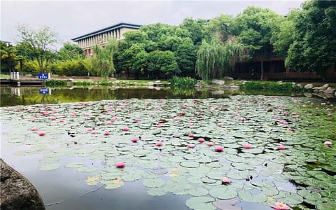 武汉城市学院·湖景
