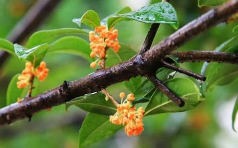 西华师范大学·校园风光