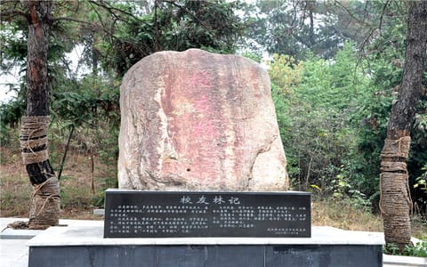 武汉职业技术大学·校友林记