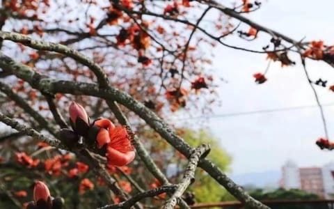 闽南师范大学·夏季