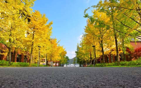 贵州师范大学·秋韵