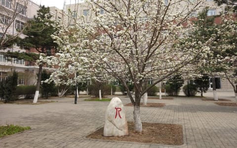 长春工业大学人文信息学院·校园景观4