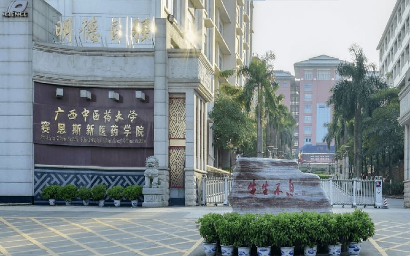 广西中医药大学赛恩斯新医药学院主图·校门
