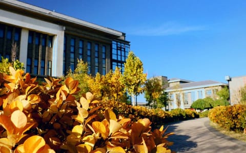 山西中医药大学·校园秋景