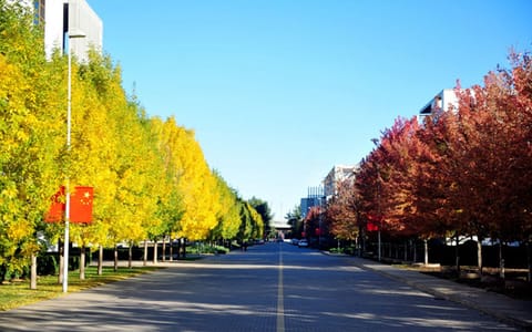 天津财经大学·校园风光7
