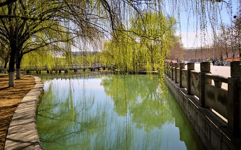 洛阳理工学院·桥
