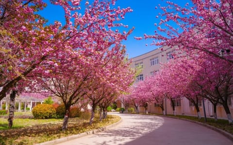西安财经大学行知学院·校园风光