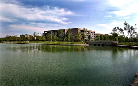西华大学·西华大学9