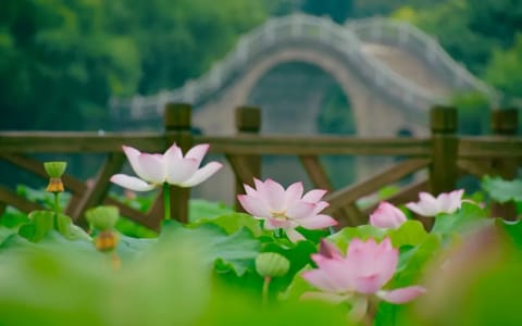 福建农林大学·校园风光