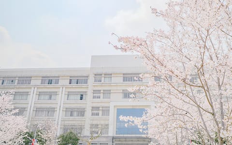 上海对外经贸大学·春1