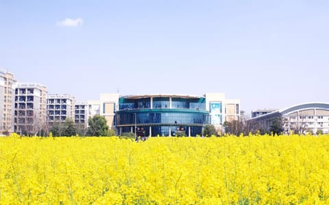 武汉科技大学·校园风光