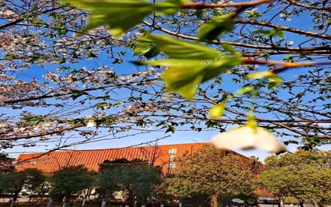 南京中医药大学·校园风光