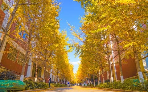 云南经济管理学院·一叶知秋