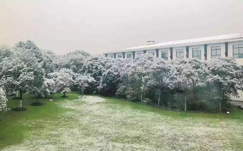 上海大学·校园风光10