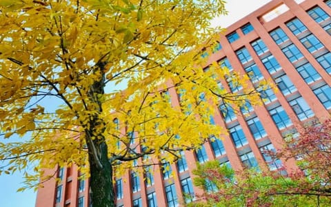 北京交通大学(威海校区)·校园风光