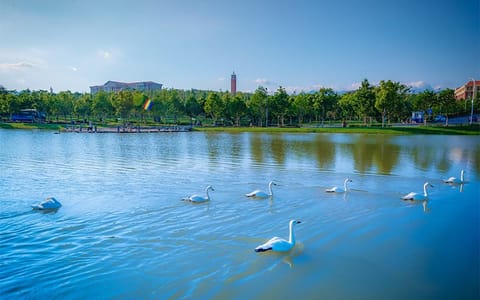 云南大学·校园风光