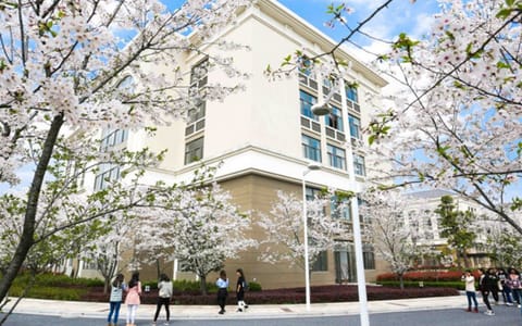 浙江越秀外国语学院·樱花季节