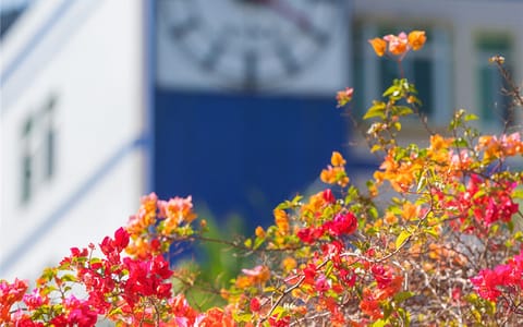 攀枝花学院·红粉争春