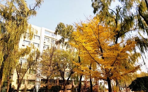 中北大学·秋日树林
